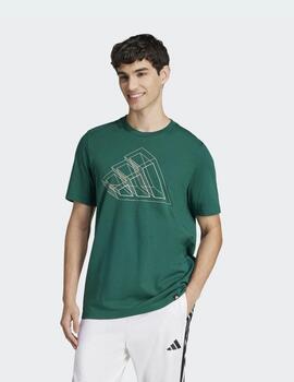 Camiseta Adidas M T FILL TEE Verde JJ1609